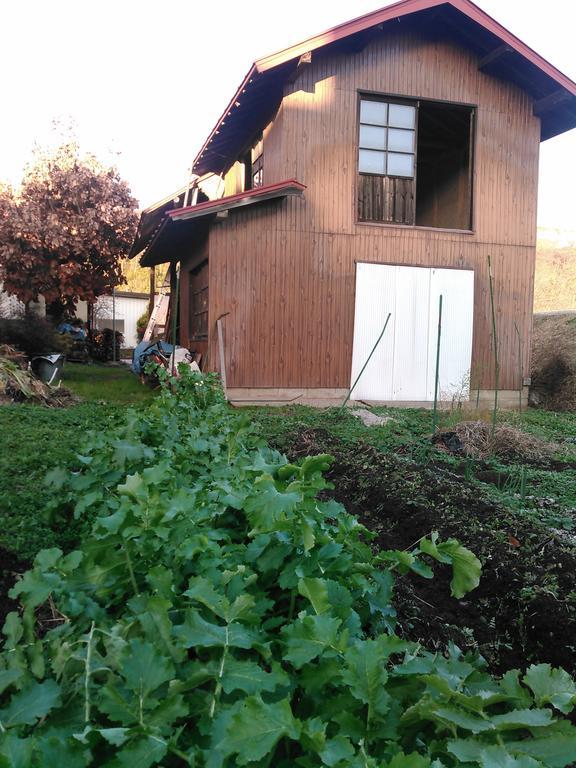 Madarao Farm Vila Nakano  Exterior foto